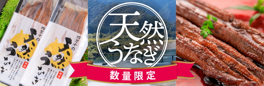 天然うなぎ