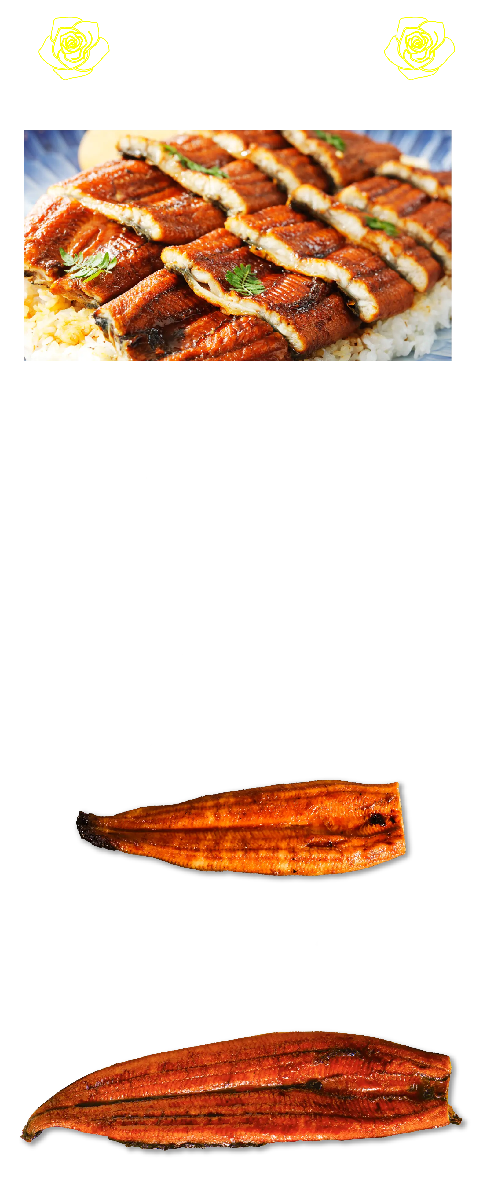 ジャンボうなぎ