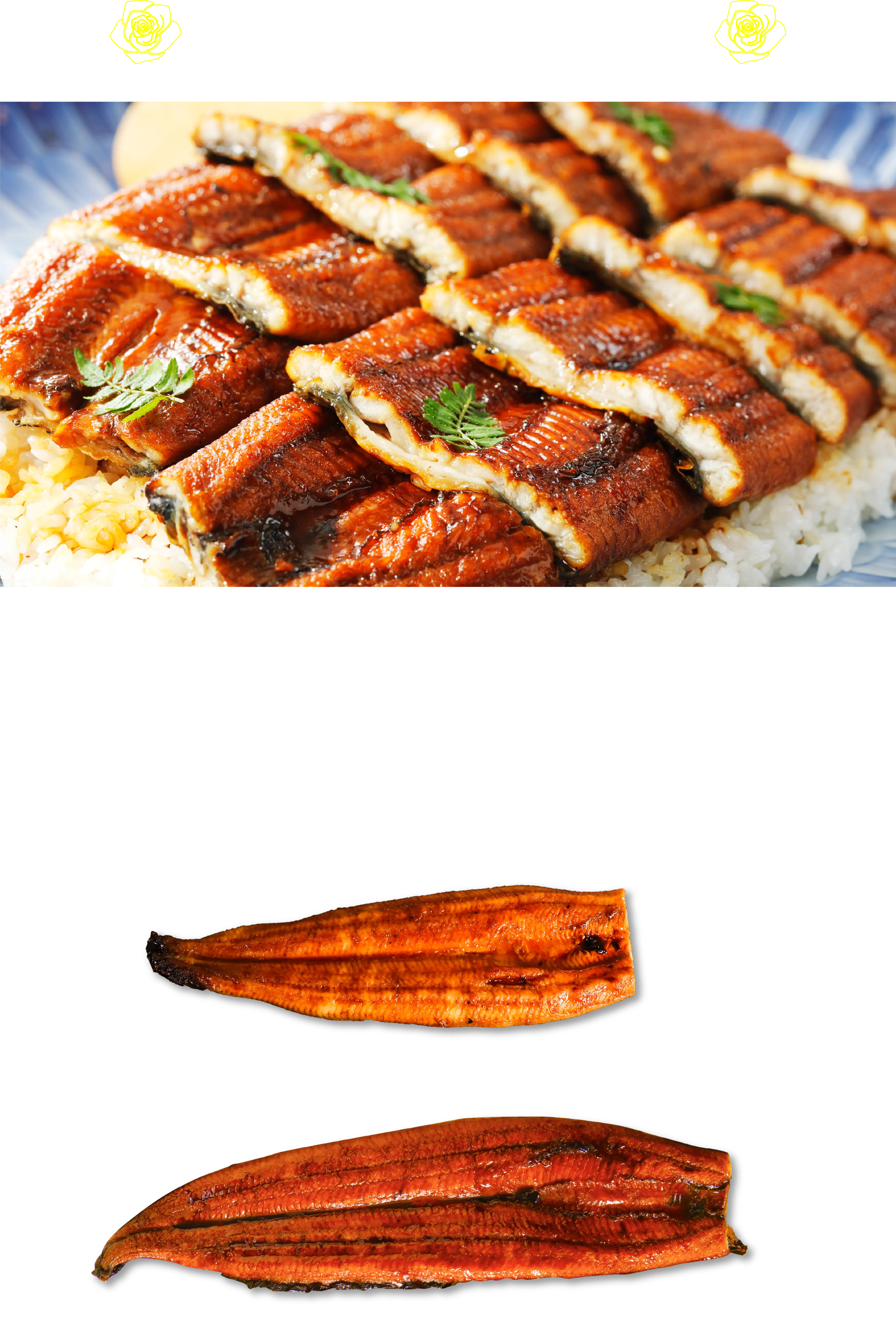 ジャンボうなぎ