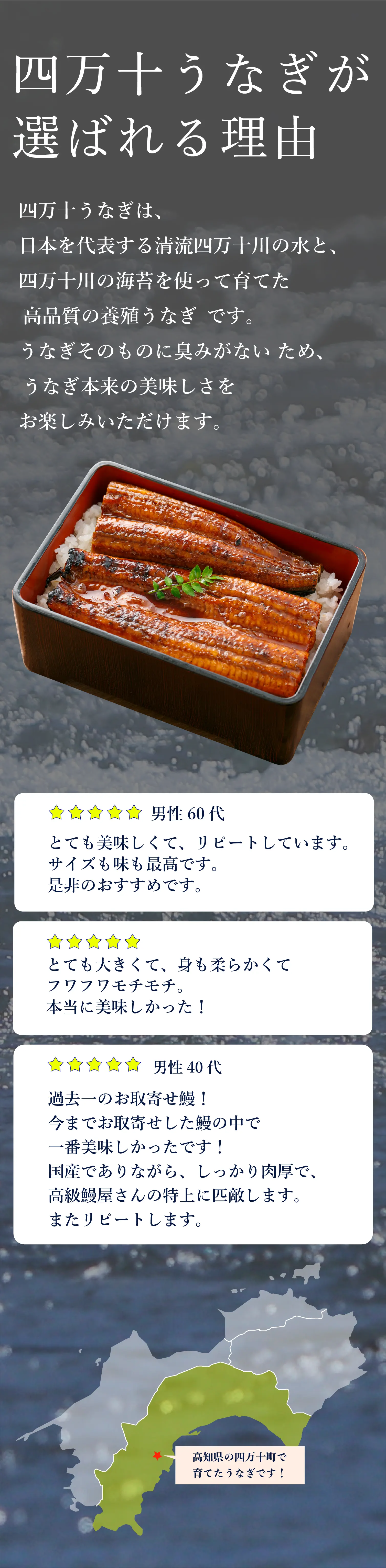 不動の人気No1商品