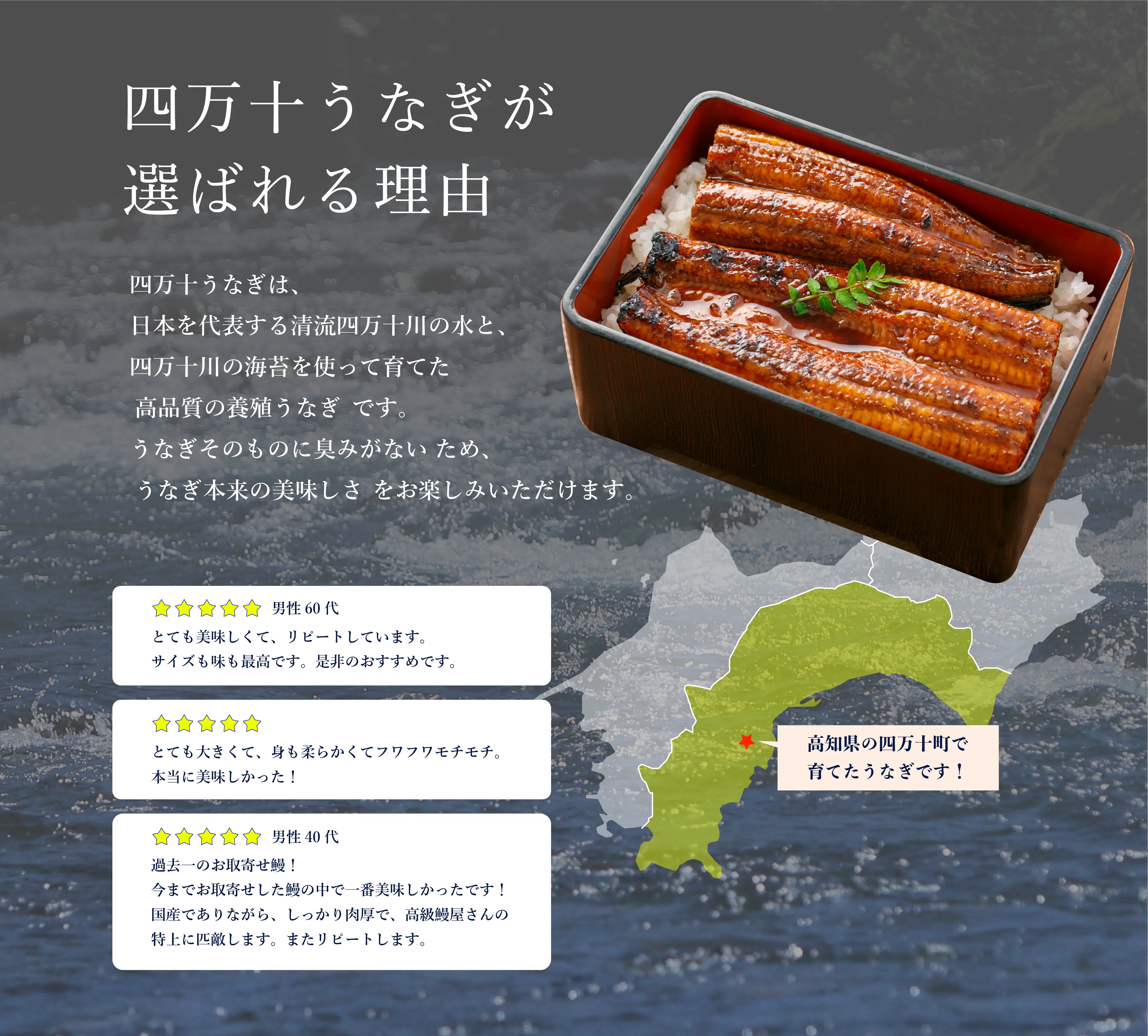 不動の人気No1商品