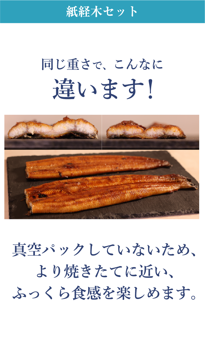 紙経木蒲焼セット