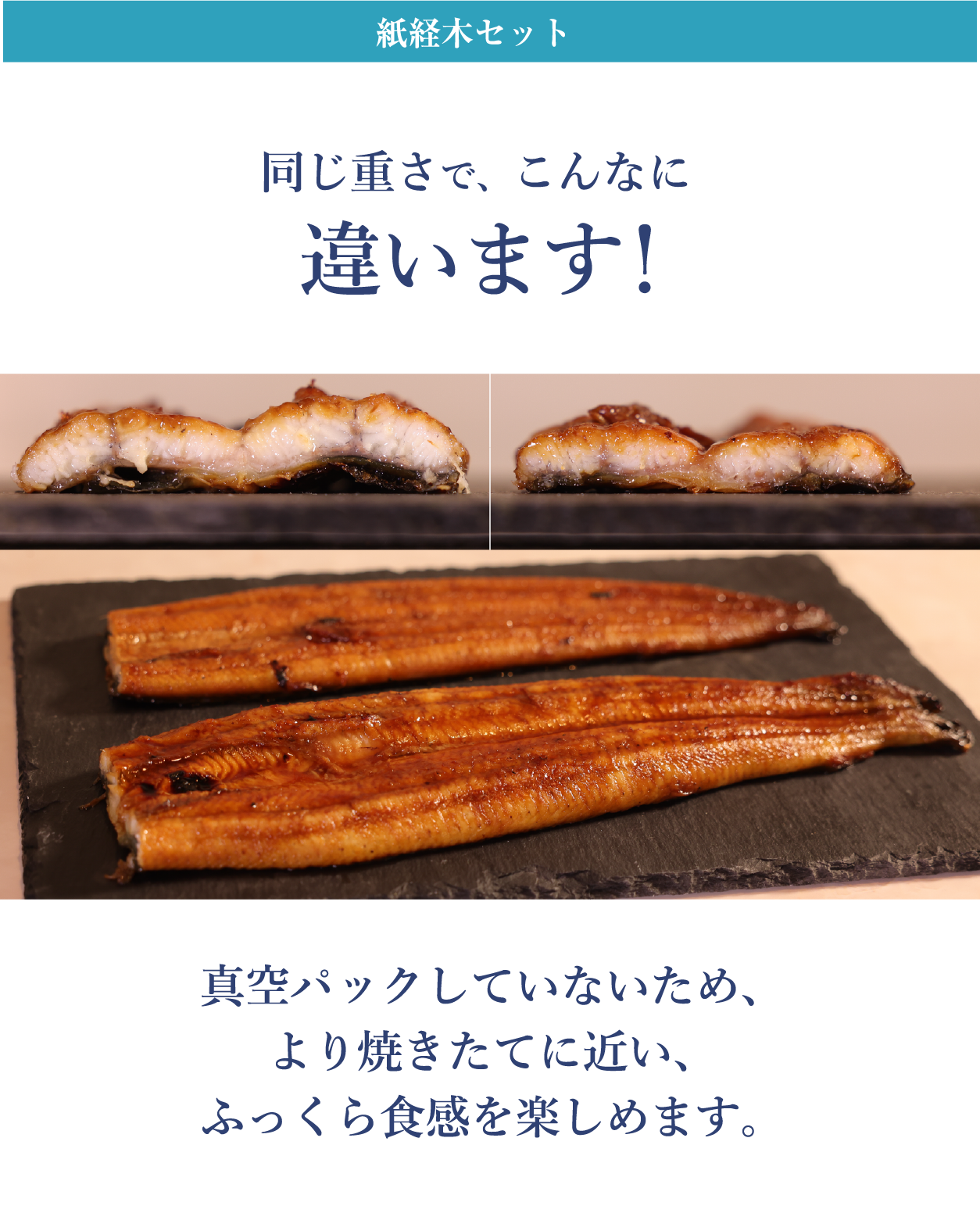 紙経木蒲焼セット