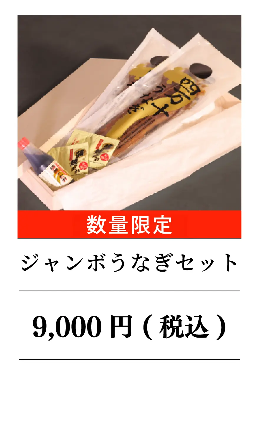 ジャンボうなぎセット