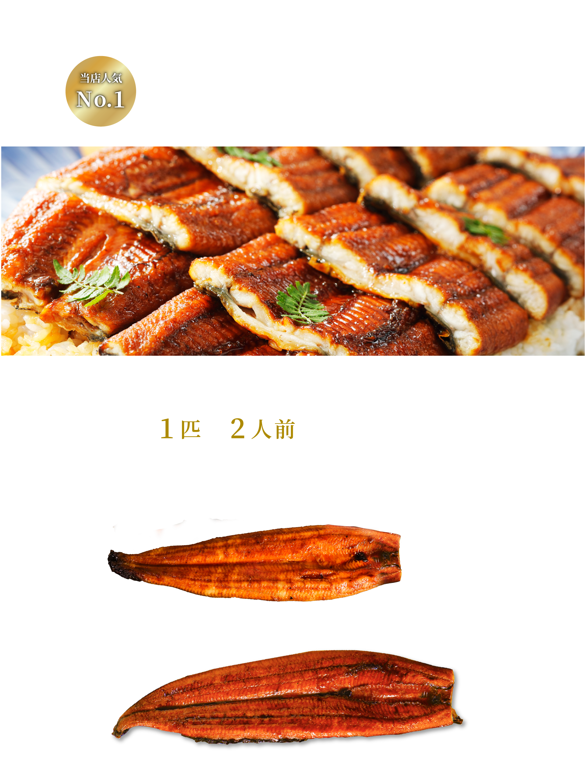 創業50年