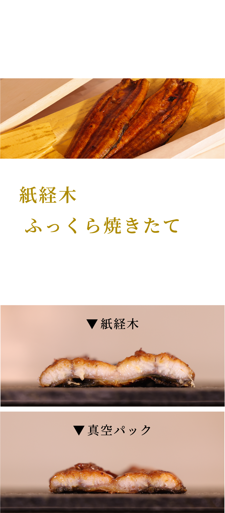 創業50年