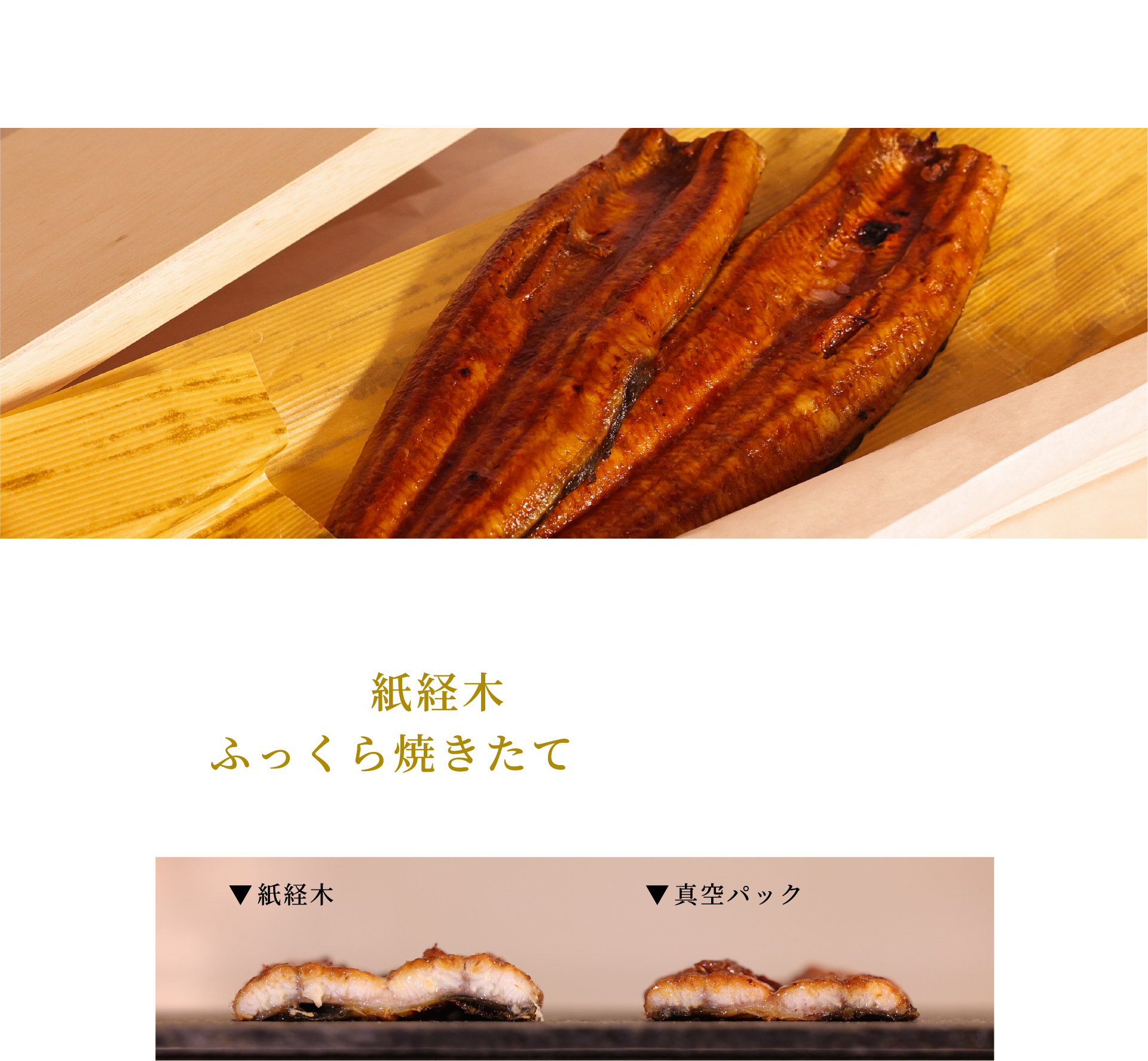 創業50年