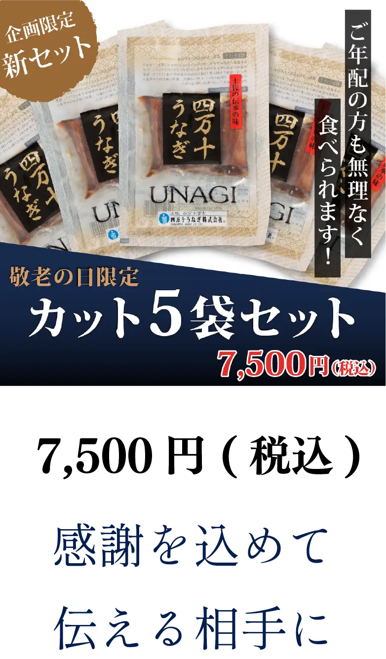 カット5枚セット