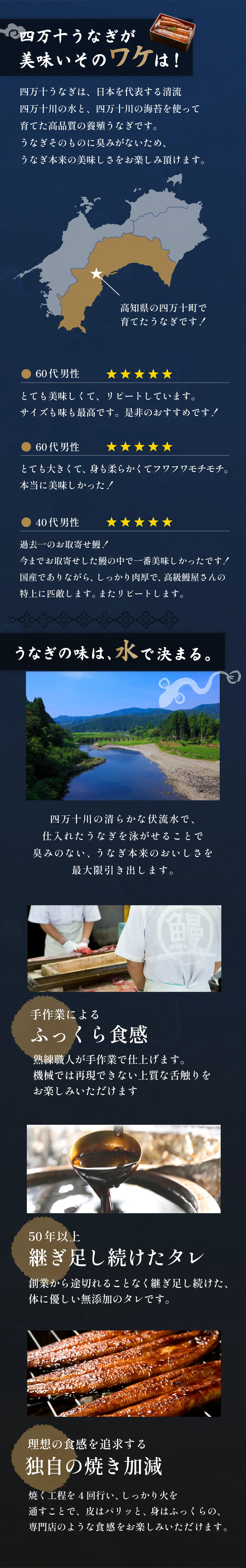 夏ギフト ジャンボうなぎセット