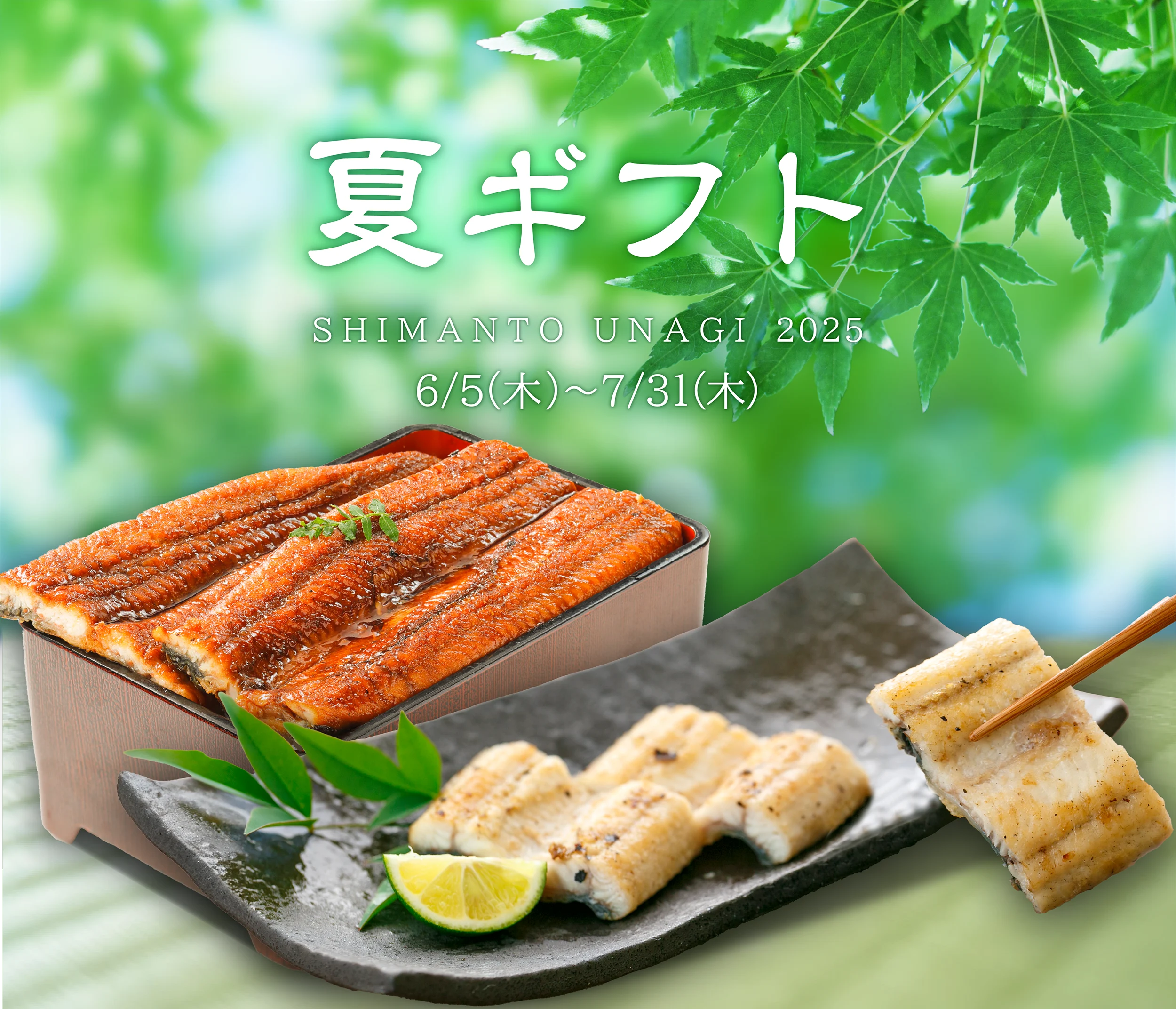 四万十うなぎ 夏ギフトTOP