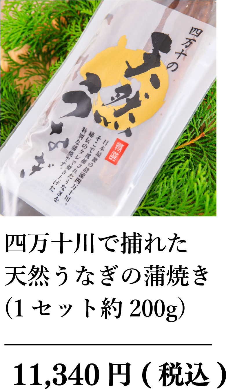 四万十川で捕れた天然うなぎの蒲焼き(1セット約200g)